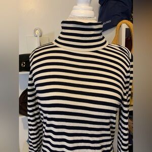 RL Striped Blue and White Turtleneck Sweater